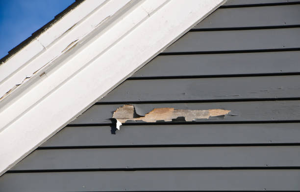 Best Siding for New Construction  in Coon Rapids, MN